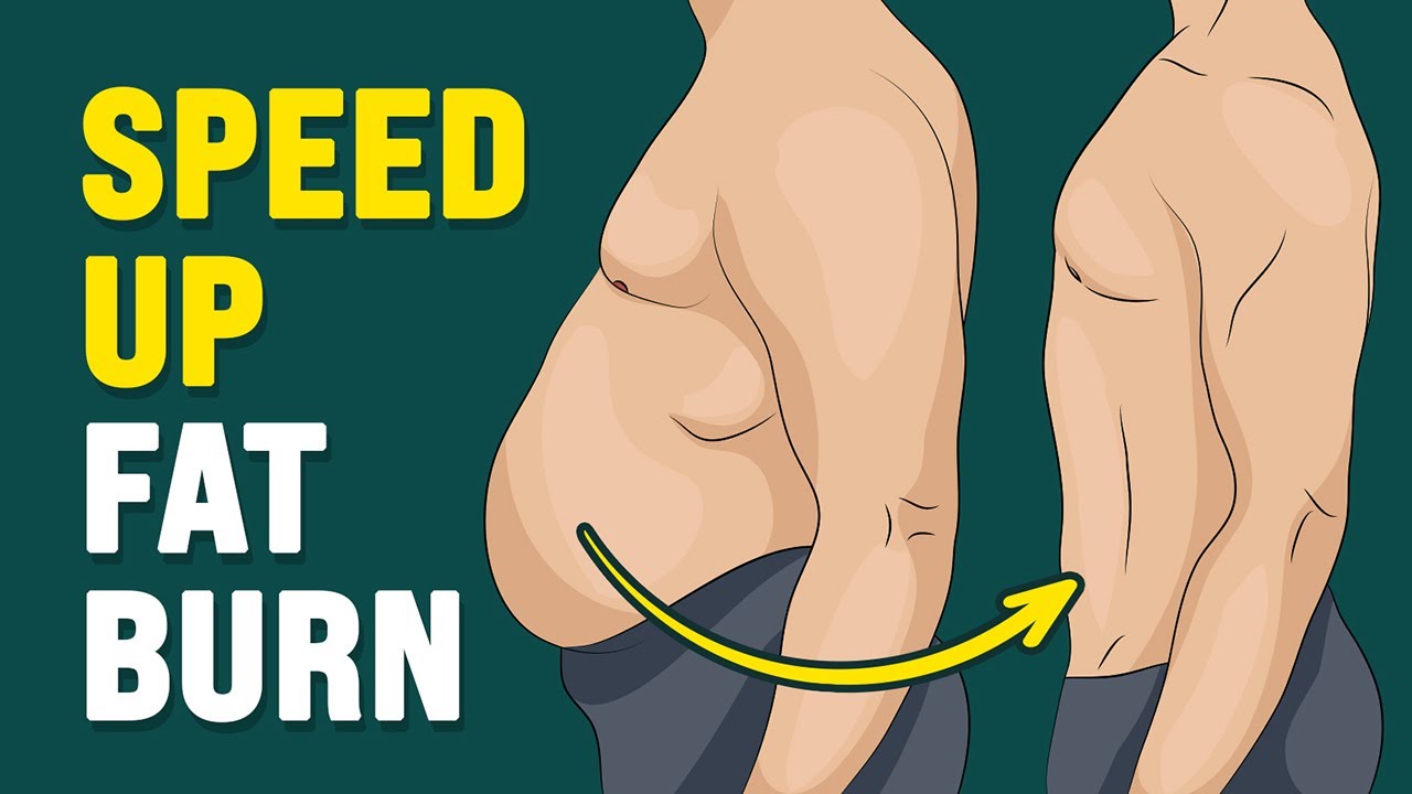 lose fat
