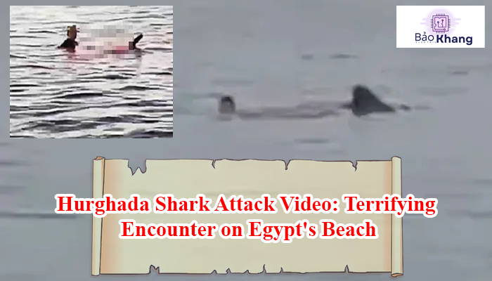 Video: Tiger Sharks in Hurghada: A Tragic Reminder of the Dangers of the Ocean